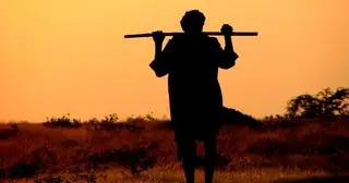 That Mysterious Disciple