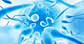 When Does a Human Person Begin?