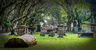 Some Facts About Death