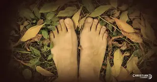 Man, From the Beginning