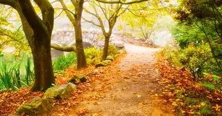 The Old Paths: Obsolete or Pressing Need?