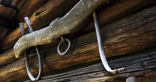 The Law of Moses: Some Metaphors Considered