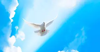 Is Holy Spirit Baptism Available Today?