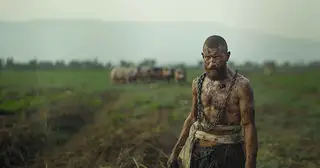 What about those Gadarene Hogs?