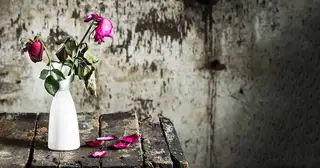 When Love Grows Cold: A Profile of the Ephesian Church