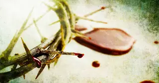 The Blood of Christ Across the Centuries