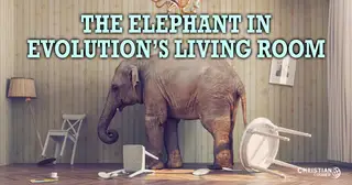 The Elephant in Evolution's Living Room