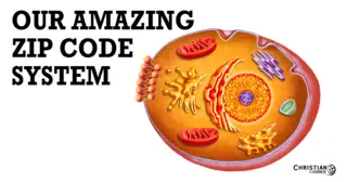 Our Amazing Zip Code System