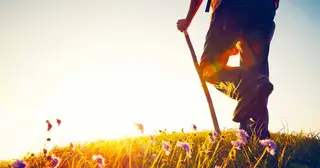 Walking Through the Book of Ephesians