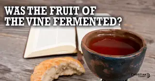 Was the Fruit of the Vine Fermented?